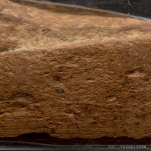 พระวงเขน กรุท่าเรือ จ.นครศรีธรรมราช เนื้อดิน