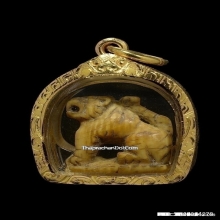 เสือหลวงปู่ยิ้ม วัดหนองบัว จ.กาญจนบุรี