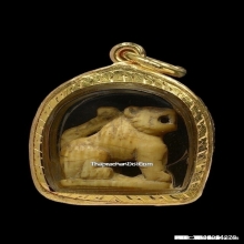 เสือหลวงปู่ยิ้ม วัดหนองบัว จ.กาญจนบุรี