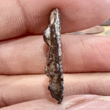 พระเนื้อชิน เก่าจัด สวยสมบูรณ์ หสยาก