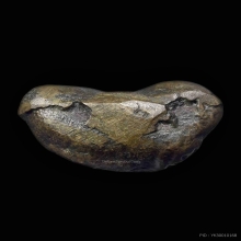 พระปิดตาหลวงพ่อดิษฐ์ วัดปากสระ จ.พัทลุง