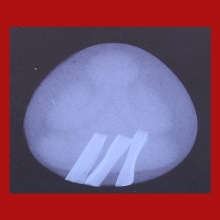 *** 5 PIECES!!! IN THE WORLD!!! ***