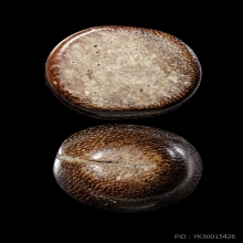 +บัตรสมาคม ปลัดขิกหลวงพ่ออี๋ วัดสัตหีบ จารเต็ม