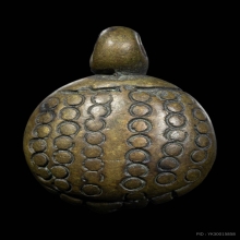 เต่า หลวงพ่อเงิน บางคลาน