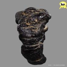 แหวนพิรอดหลวงพ่อม่วง วัดบ้านทวน ดีกรี2แชมป์สมาคม+บัตรสมาคม