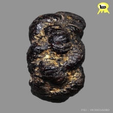 แหวนพิรอดหลวงพ่อม่วง วัดบ้านทวน ดีกรี2แชมป์สมาคม+บัตรสมาคม