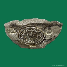 หายาก/ พระกริ่งศิลป์ลพบุรี  หลวงพ่อแพ วัดพิกุลทอง สิงห์บุรี