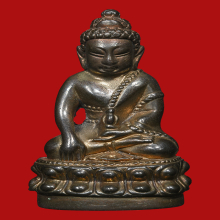 กริ่งนารายณ์แปลงรูป  ก้นทองคำ