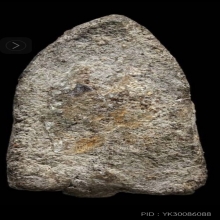 พระหลวงปู่ทวดเนื้อว่านพิมพ์กลางปี 2497 วัดช้างให้