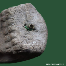 พระหลวงปู่ทวด วัดทรายขาว ปี 52 รุ่น บารมีอาจารย์นอง