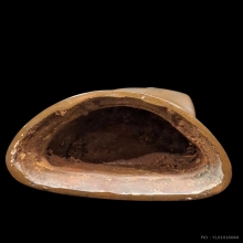 พระปฐมเทศนาพระอ.ไสว สุมโน