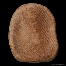 พระซุ้มกอ กรุลานดอกไม้ จ.สุโขทัย