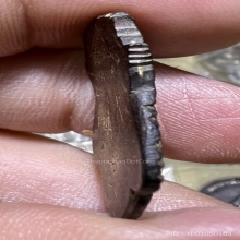 ราหู กระลาแกะสายวัดศรีษะทอง สวยเดิมๆหายาก ศิลป์นิยมมีจารย์