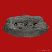 หลวงพ่อทวด  รุ่น  มบ  ตะกรุดทอง 3 ดอก