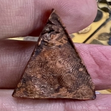 นางพญา พ่อแฉ่ง วัดบางพัง 2497 พิมพ์นิยมบล๊อคแรก สวยสมบูรณ์ 