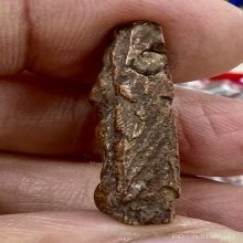 นางพญา พ่อแฉ่ง วัดบางพัง 2497 พิมพ์นิยมบล๊อคแรก สวยสมบูรณ์ 