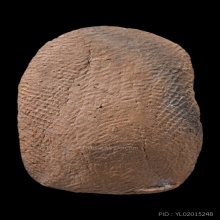 พระหลวงปู่บุญ วัดกลางบางแก้ว จ.นครปฐม ปี 2456 