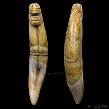 >>>..,เสือหลวงพ่อสาย วัดคลองด่าน (เต็มเขี้ยว) แชมป์!!!