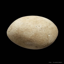 ลูกอมหลวงพ่อคง วัดบางกะพ้อม