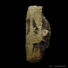 เหรียญหล่อมีหู หลวงพ่อคำ วัดโพธิ์ปล้ำ  อ่างทอง