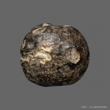 ลูกสะกดเก่า 