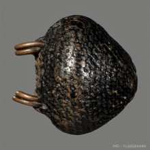 เบี้ยแก้หลวงปู่เพิ่ม วัดกลางบางแก้ว #สวยสมบูรณ์