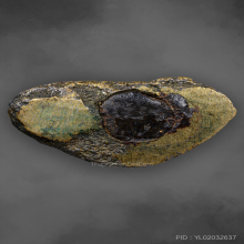 พระชัยวัฒน์ เจ้าคุณผล วัดหนัง รุ่นแรก ก้นอุด