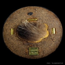 ล็อกเก็ต 