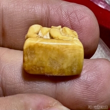 เสือปู่เฮง เขาดิน งาแกะตัวใหญ่ สวยมากแห้งสมบูรณ์ 