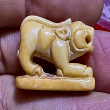 เสือปู่เฮง เขาดิน งาแกะตัวใหญ่ สวยมากแห้งสมบูรณ์ 