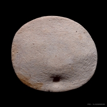 พระผงนางกวักพิมพ์ไข่ปลาจุด หลวงปู่เผือก วัดกิ่งแก้ว ปี 2496