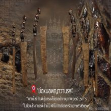 “มีดหมอพญาวานร“ แชมป์ งานสมาคมฯ