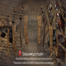 “มีดหมอพญาวานร“ แชมป์ งานสมาคมฯ