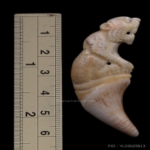 เขี้ยวเต็มแกะเสือ หลวงพ่อคงวัดวังสรรพรส ยุคต้น