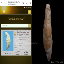 เขี้ยวเต็มแกะเสือ หลวงพ่อคงวัดวังสรรพรส ยุคต้น