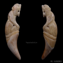 เขี้ยวเต็มแกะเสือ หลวงพ่อคงวัดวังสรรพรส ยุคต้น