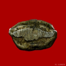 พระปิดตาหลวงพ่อตุด วัดคูหาสวรรค์ จ.พัทลุง ปี2483