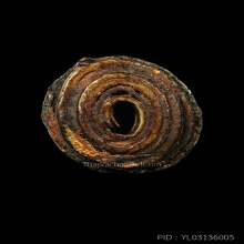 ตะกรุดหนังหน้าผากเสือ ลป.นาค วัดอรุณ ยาว 1.5 นิ่ว