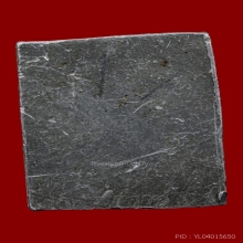 เหรียญลพ.ชม วัดชมนิมิตร รุ่นแรก ปี 2497