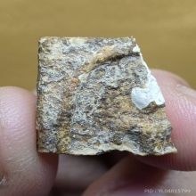 ชิ้นส่วน พระสมเด็จบางขุนพรหม กรุใหม่ 