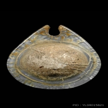 ลูกอมหลวงพ่อคง วัดบางกะพ้อม(ลูกที่1)