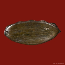 พระกริ่งไตรมาส พิมพ์เล็ก ปี2511 หลวงพ่อแพ วัดพิกุลทอง 