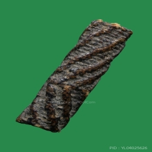  ตะกรุดสาริกา จันทร์เพ็ญ หลวงปู่ศุข วัดปากคลองมะขามเฒ่า  