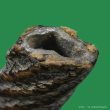  ตะกรุดสาริกา จันทร์เพ็ญ หลวงปู่ศุข วัดปากคลองมะขามเฒ่า  