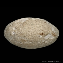 ลูกอมหลวงพ่อคง วัดบางกะพ้อม(ลูกที่2)