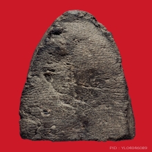 หลวงพ่อทวด  กดมือ 14  พิมพ์หน้ากรรมการ