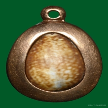 เบี้ยแก้ รุ่น สารพัดดี ปลุกเสกวัดกลางบางแก้ว