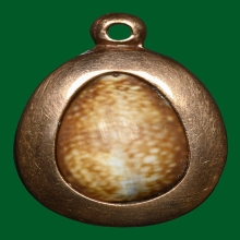 เบี้ยแก้ รุ่น สารพัดดี ปลุกเสกวัดกลางบางแก้ว