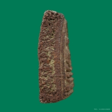 พระสมเด็จเนื้อยาจินดามณีหลวงปู่บุญวัดกลางบางแก้ว