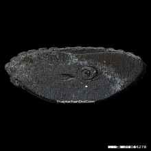 พระชัยวัฒน์หลวงปู่คร่ำวัดวังหว้าระยองรุ่นสร้างเจดีย์ปี37-38